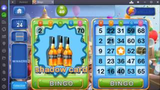 Bingo Crush Gameplay screenshot 2