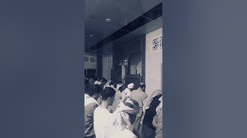 ماتيسر من سورة القصص بصوت القارئ محمد وليد الشرعبي