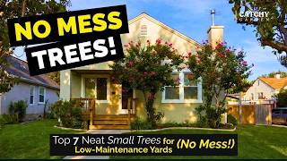 Top 7 Neat Small Trees for Low-Maintenance Yards (No Mess!) 🌸🌳🍁