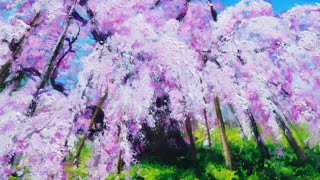 油絵】【桜の大木】 #油絵 #手書き #アート #絵画販売 #絵画 #絵 #油彩