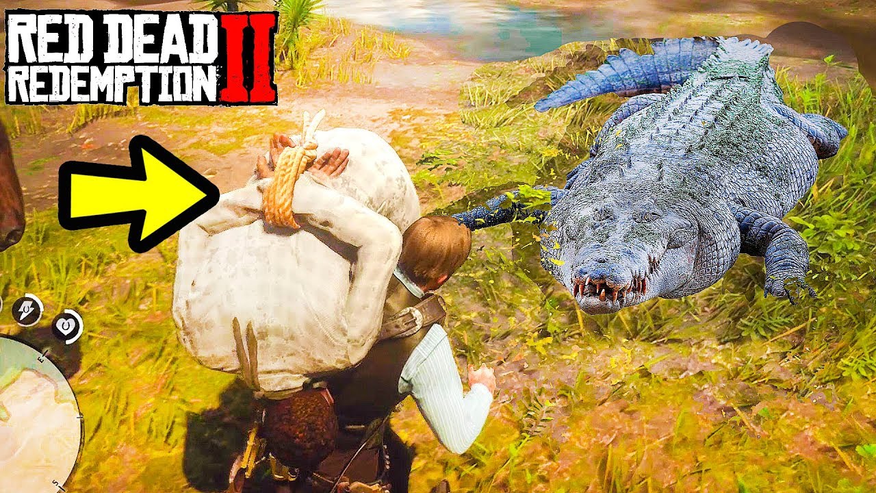Cocodrilo Rdr2 O QUE ACONTECE SE VOCÊ JOGAR UM NPC PERTO DOS CROCODILOS? | RED DEAD ...