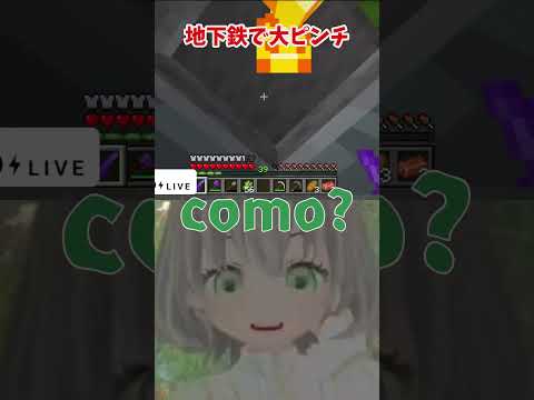 【#Minecraft】多分罰が当たった／花白もか #マイクラ #Vtuber切り抜き