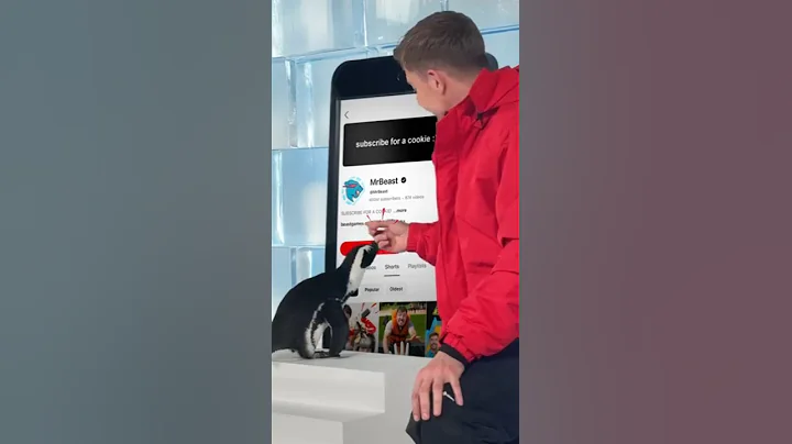 Can I Teach a Penguin To Subscribe? #subscribe #mrbeast #like #mr #shorts #trending #youtubeshorts