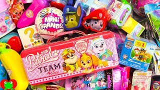 paw patrol surprise eggs mini brands surprises