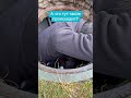 Есть свои моменты ) )#GreenDab #газон #озеленение #автополив #полив