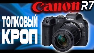 Canon R7. Толковый бюджетник