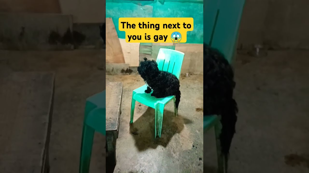  Trend The Things Next To You Is Gay