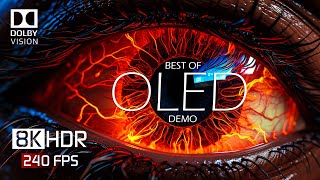 8K HDR 240 FPS Dolby Vision  Special OLED Demo