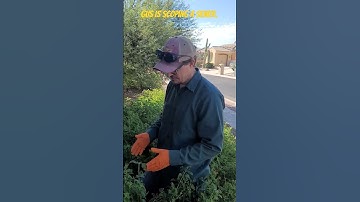 Listen to Gus talking about scoping the sewer for defects. #shortsvideo #construction #plumbing