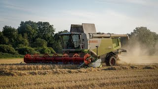 Roggen Ernte 2026 || Claas Lexion 760 + John Deere S7 700
