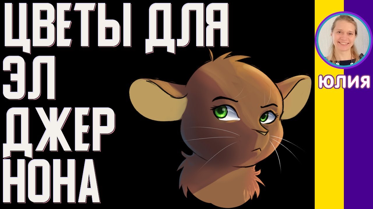 Краткое содержание Цветы для Элджернона. Киз Д. Пересказ романа за 13 ...