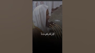تلاوة من القرآن الكريم بصوت القارئ أحمد بن طالب | سورة الزمر من آية ٣٦ إلى آية ٣٧ | تلاوة عطرة