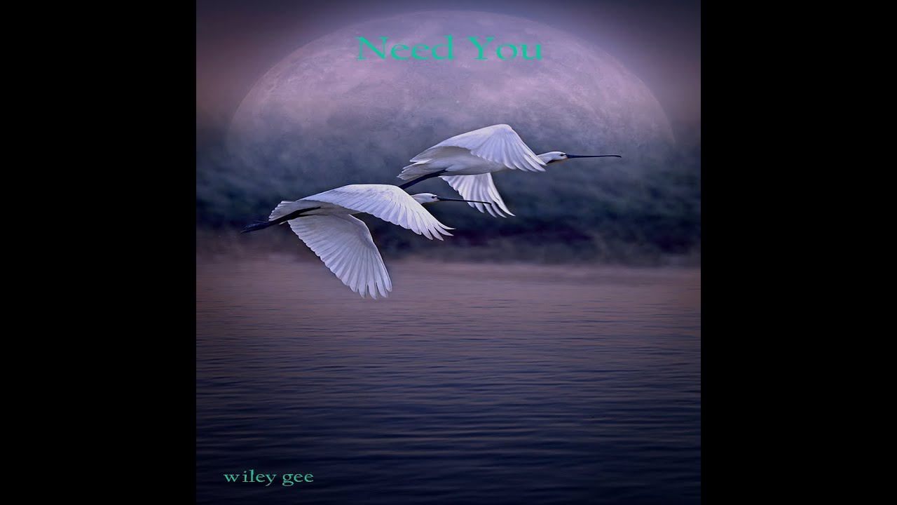 Watch Need You by Wiley Gee #musicvideo#youtubevideo#chillmusic#guitar#sax on YouTube Watch Need You by Wiley Gee #musicvideo#youtubevideo#chillmusic#guitar#sax on YouTube