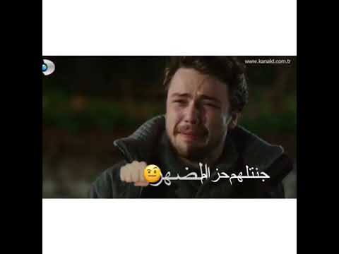 رأفت البدر عليتهم فوق النجم علي وسيلين تصميمي