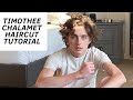 Timothee Chalamet Haircut Tutorial - TheSalonGuy