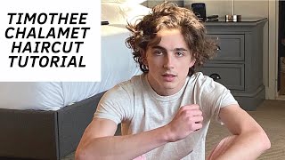 A Brief History of Timothée Chalamet's Beautiful Hair