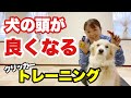 【犬 クリッカー】頭が良くなるトレーニング！飼い主さんとお家の中でやってみよう！