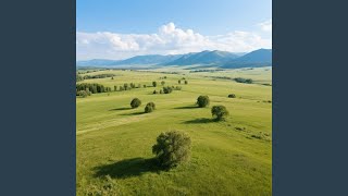 Malam Menjadi Penutup Tenang