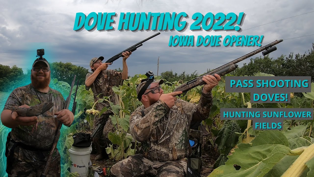 DOVE HUNTING 2022!