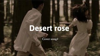 Desert rose