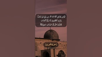 سورة الشورى الآية ٤٤ و ٤٥ بصوت الشيخ محمد صديق المنشاوي