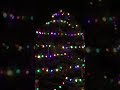 True United Spirit Of The Season!!! Neighborhood Tree Lighting In Front Yard Is A Favorite CO Memory