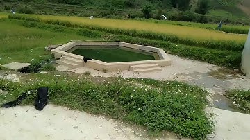 Suối nước nóng mường lèo-huyện sốp cộp