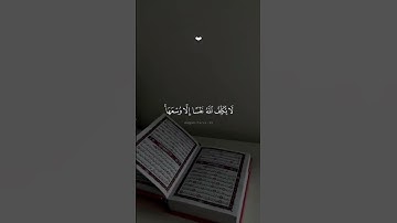 #قران #ماهرالمعيقلي #quran #قران_كريم #سورة_البقره