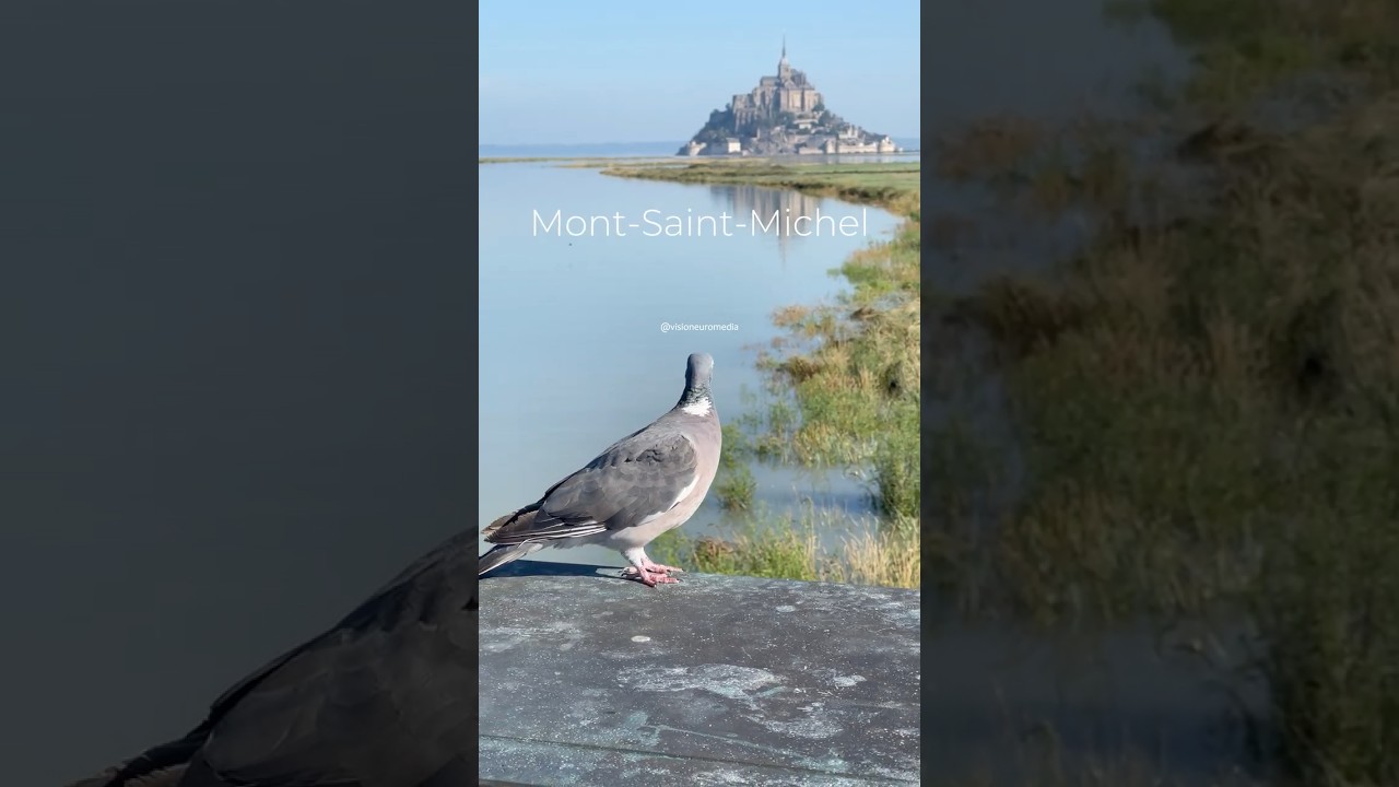 Куда едут миллионы туристов Mont Saint Michel  