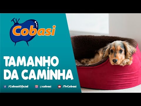 Tamanho da caminha