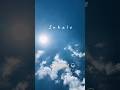 Clear your mental fog in 3 minutes ☁️ (Paced Breathing & Binaural Beats)
