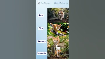 Compare 4 AI Video Tools Sora, Pika, Runway, Leonardo