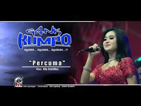 Percuma Elys Santika New Pallapa Live Mojo Tengah Kedamean November 2016
