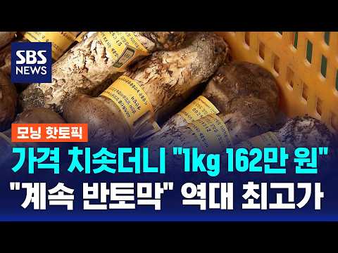 Skyrocketing Prices Hit "1.62 Million Won per kg".. All-Time High / Morning Hot Topic / SBS Morni...