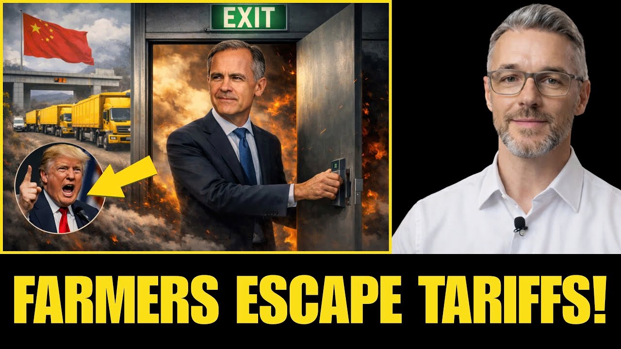 China Opens Doors to Canadian Canola as Carney Rejects Trump Tariffs | Watkins Analysis