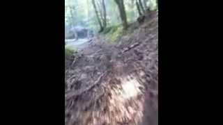 Singeltrail Randen Schweiz