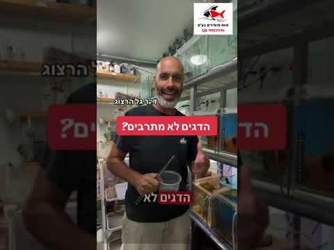 הדגים לא מתרבים? קבלו טיפ מגניב… 08-9957774 #