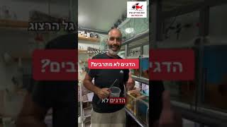 הדגים לא מתרבים? קבלו טיפ מגניב… 08-9957774 #
