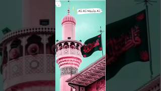 kehta hai jab bhi mast kalandar ali ali status !! whatsapp video status #shortvideo #viral #youtube