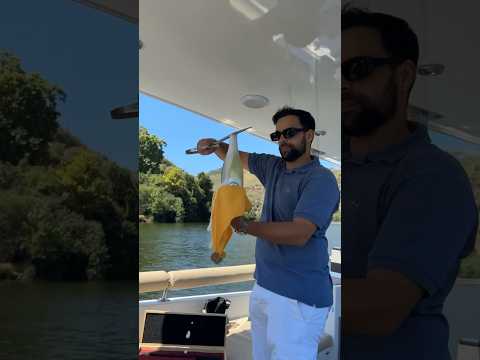 Set Sail On A Private Boat Experience In The Heart Of The Douro Valley With Invicta Premium Tours 