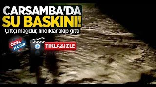 Samsun Çarşambada Su Baskını Fındıklar Akıp Gitti