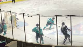 At Least I Think It’s Cool: Shreveport Mudbugs Hockey vs. Lone Star Brahmas. Shreveport, Louisiana