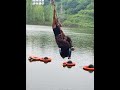 Fun swinging by the river! #WaterSwinging #LaughEveryTimeISeeIt