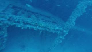 Marathon Thunderbolt Wreck Dive swim through #floridakeys #scuba #wreckdiving