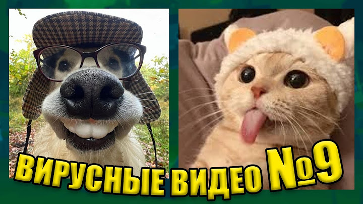 ВИРУСНЫЕ ВИДЕО / Подборка смешные моменты №9