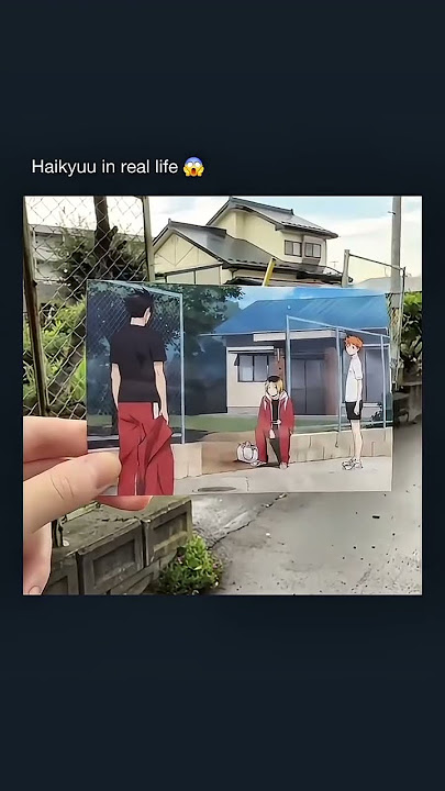 #volleyball #haikyuu #nightman2586