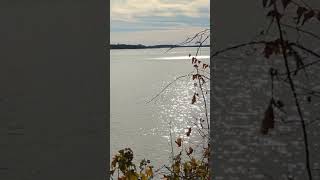 Beautiful Day At the Lake
Spent Sunday carp fishing by the lake. Didnt catch anything but it was a peaceful afternoon doing what I like best. Beautiful Day At the Lake