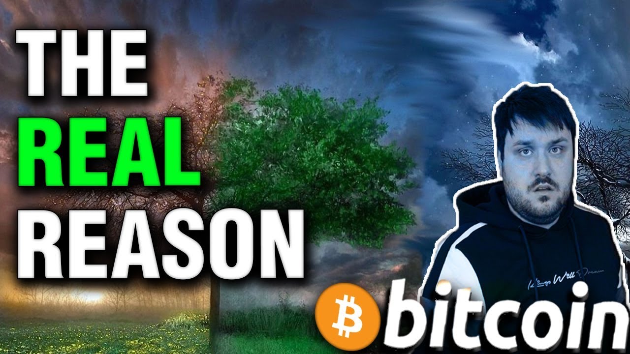 Real Reason for Bitcoin Maximalism - Crypto Meme Review Real Reason for Bitcoin Maximalism - Crypto Meme Review