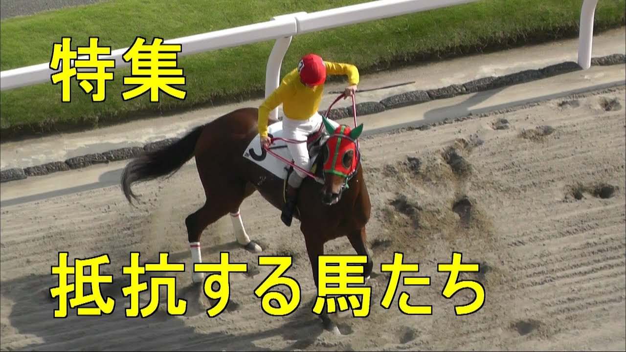 競馬　抵抗する馬たち