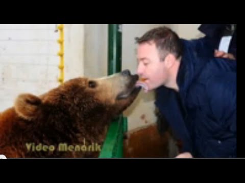 TONTON VIDEONYA Kebun binatang  paling berbahaya di  dunia  